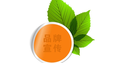 中國上海蜜柚老版app下载包裝展覽會的品牌宣傳方案