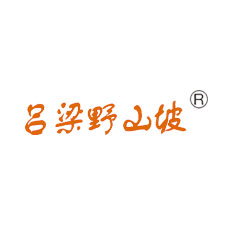 上海蜜柚老版app下载包裝展覽會采購商呂梁野山坡