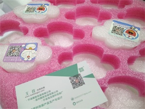 珍珠棉-上海蜜柚老版app下载包裝展覽會-中國包裝容器展